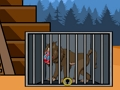 The Mandrill Baboon Escape 