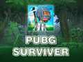 PUBG Survivor 