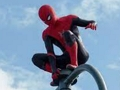 Spider warrior 