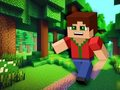Minicraft 