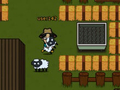 Sheep13 