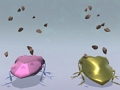 Shield Bugs 