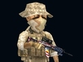 Rush Team 