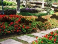 Leaf Farm Garden Escape 