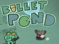 Bullet Pond 