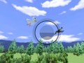 Wii Sports Birdwatching 