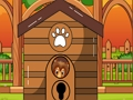 Bernese Mountain Dog Escape 