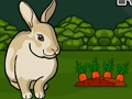 Rescue The Grey Rabbit 