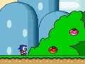 Sonic in Super Mario World 