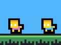 Flap Flat Twins 