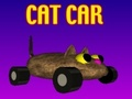 Cat Car 