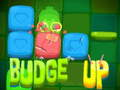 Budge Up 