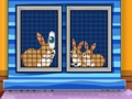 Find The Animal First Aid Kit 
