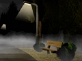 Night Walk 
