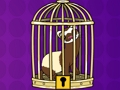 Mink Escape From Cage 