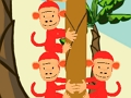 SARUPA 