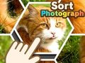 Sort Photograph 