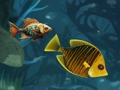 Endless fish fun 