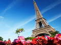 Ultimate Puzzles France 