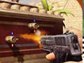 Bottle Shooter 