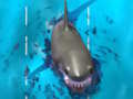 Avoid the Sharks 