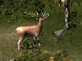 Sniper Hunting Deadly Animal 