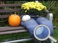 Autumn Garden Find 100 butterflies 