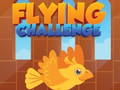 Flying Challenge 