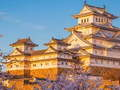Ultimate Puzzles Japan 