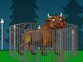 Aggressive Bull Escape 