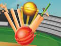 T20 Cricket 