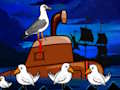 Laridae Rescue 