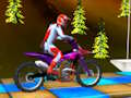 Bike Stunts 