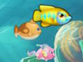 Eat Small Fish 