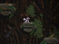 Cave Descent 