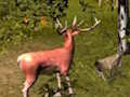 Stag Hunt 