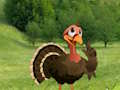 Ready To The Thanksgiving Party 