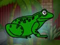 Rescue the green toad from the dungeon 
