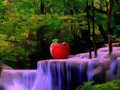 Fabulous Lake Forest Escape 