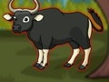 Escape The Banteng 