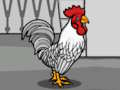 Rescue The White Rooster Family 