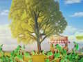 City Park 