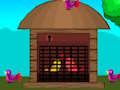 Love Birds Rescue 