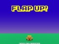 Flap Up 
