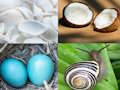 4 Pics 1 Word Game 