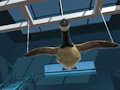 Goose Museum 