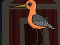 Cute Godwit Escape 