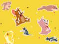 The Tom and Jerry Show Find it! 