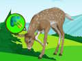 The Deer Meadow Escape 