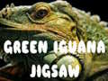 Green Iguana Jigsaw 